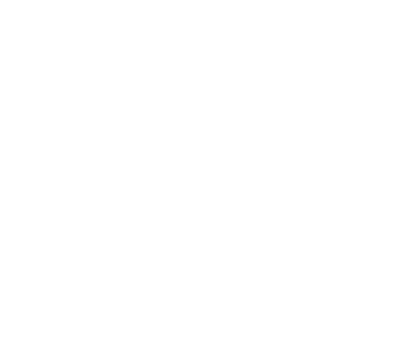 BSN STRATEGIC SOLUTIONS COMPANY