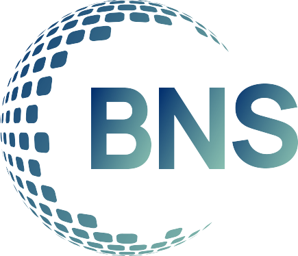 BSN STRATEGIC SOLUTIONS COMPANY